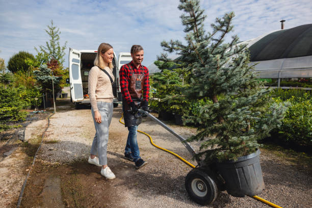 Best Local Tree Services  in Hatch, NM